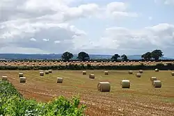Fields near Barrowhouse, County Laois