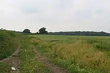 Burbage Wood and Aston Firs