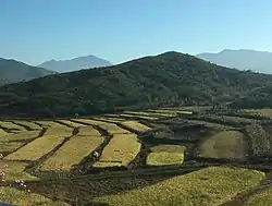 Fields in South Pyongan.