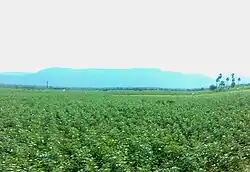 Fields near Mylavaram