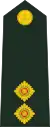 Lieutenant(Fiji Infantry Regiment)