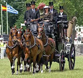 Pleasure driving 2009Marathon competition Stoneleigh Park