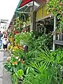 Some stands sell herbs, flowers, and various decorative plants.