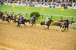 The Preakness Stakes is held each year in the Baltimore neighborhood of Pimlico.