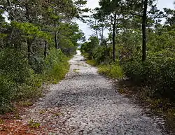 First American Road in Florida