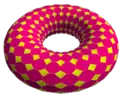 tQ24×12 projected to torus