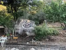 Fish mural on rock, Bedri Rahmi Bay in Göcek