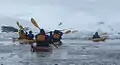 Kayakers near the Fish Islands