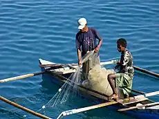 Net fishing in the bay, c. 2006