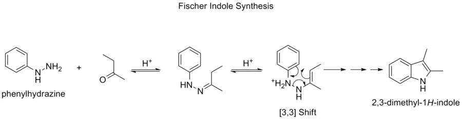 The Fischer indole synthesis