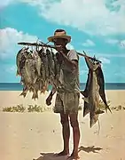 Fisherman and his catch, Seychelles. The fish, including small sharks, were hooked on hand lines many miles off shore.