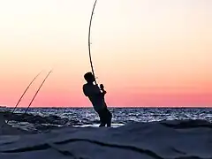 Fisherman,Tunisia