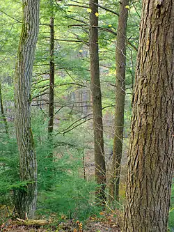 Fishing Creek Nature Preserve