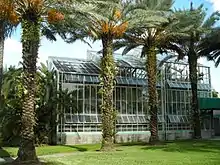 A glassy greenhouse structure surrounded by palm trees