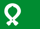 Flag of Øyer kommune