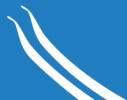 Flag of Alvdal kommune