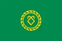 Flag of Askinsky District