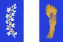 Flag of Bichursky District