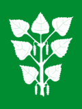 Flag of Bjerkreim kommune
