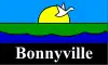 Flag of Bonnyville