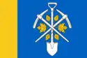 Flag of Tsentralny