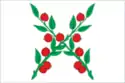 Flag of Chaplygin