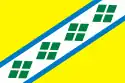 Flag of Chastinsky District