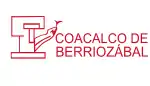 Flag of Coacalco de Berriozábal