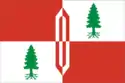 Flag of Fryanovo