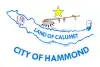 Flag of Hammond