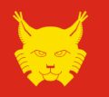 Flag of Hemsedal