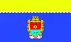 Flag of Kaniv