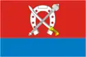 Flag of Kavkazskaya