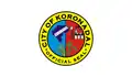 Flag of Koronadal
