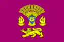 Flag of Kotovsky District