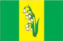 Flag of Kurkino District