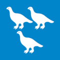 Flag of Lierne kommune