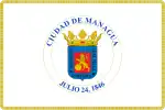 Flag of Managua