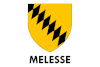 Flag of Melesse