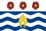 Flag of Napier