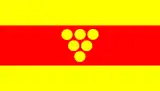 Flag of Municipality of Negotino