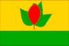 Flag of Nesuchyně