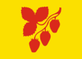 Flag of Norddal kommune