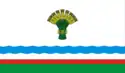 Flag of Olyokminsky District