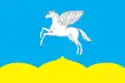 Flag of Pushkinskiye Gory