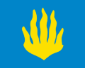 Flag of Røyken kommune