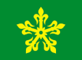 Flag of Re kommune