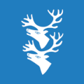 Flag of Rendalen kommune