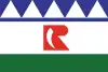 Flag of Rincon