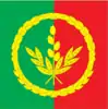 Flag of Rokytne Raion